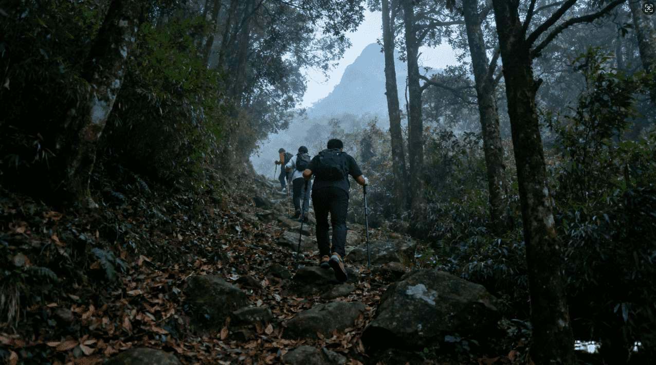轻蜂加速器苹果版下载多功能使用指南